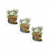 Margaritaville "Living for the Weekend" sticker