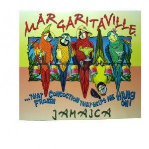 4 Parrot Magnet